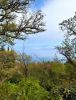 IMG_20250424_134704.thumb.jpg.3619a77cec6f6acef8af6a44c44944cd.jpg