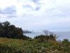 IMG_20250425_142837.thumb.jpg.7a6471e97e6e5c09388c651e9d6684e6.jpg