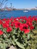 IMG_20250427_120703.thumb.jpg.9e66f958a046ad889c5ec7bc76b8615e.jpg