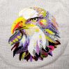 IMG_20250504_043311.thumb.jpg.07c2bc6fa64a19880667061882180aab.jpg