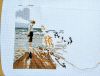 IMG_20250504_210618.thumb.jpg.7e0065a8ad970a46422b88fc200b2cee.jpg