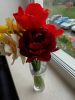 IMG_20250510_145753.thumb.jpg.4d120ee87032575fddc92c5572ec1b2a.jpg