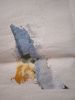 IMG_20250511_104837.thumb.jpg.1a3c274c36e9384b4d9ca34298168f6b.jpg