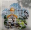 IMG_20250514_132541_edit_978692857569718.thumb.jpg.07bc034e04921d12240860a4f4fa6319.jpg