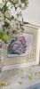 IMG_20250517_152652.thumb.jpg.29bff05619143a9caf1e9e4dbfb42fb0.jpg