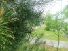 IMG_20250518_163222.thumb.jpg.ea46e49270d1eb6c87aec57f8b0f8b35.jpg