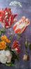 IMG_20250520_135039.thumb.jpg.8847ac320cf539bdf4996bbf8bac742f.jpg