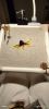 IMG_20250521_220116.thumb.jpg.4ce986b535460620916ea6aac28d1362.jpg