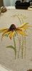 IMG_20250523_103012.thumb.jpg.f53a92e7864338da4ed63fc0b36cb4f8.jpg