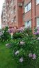 IMG_20250524_165620.thumb.jpg.931c587739d423cced1467630d646106.jpg
