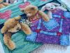 IMG_20250525_175353_050.jpg