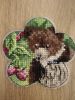 IMG_20250525_222544.thumb.jpg.728653d8f68971148c776e0a3890b6b3.jpg