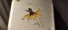 IMG_20250526_214645.thumb.jpg.7764c30c98bdffd3b9e3a3244f0aa066.jpg