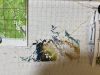 IMG_2412.jpeg