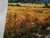 IMG_3904.jpeg