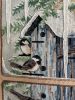 IMG_3921.jpeg