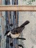 IMG_3923.jpeg