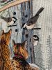 IMG_3925.jpeg
