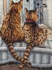 IMG_3929.jpeg