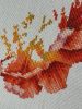 IMG_4815.jpeg