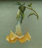 Thea Gouverneur, Angel's Trumpet