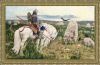 mk_115_vityaz_na_raspute_1882.thumb.jpg.e78f2174545b49411f03bb3067e87ae2.jpg