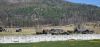 127480623_.thumb.jpg.369aebe40dd49828a0be8c345cefccae.jpg