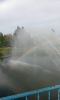 1520240352_WhatsAppImage2025-05-24at12_43.56(1).thumb.jpeg.ba6301aeb18463c67689774ae39fc534.jpeg