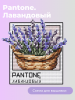 Pantone.Лавандовый.png