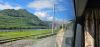 20250525_101306.thumb.jpg.308ece050b0d26c2608874a634cb58ea.jpg