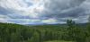 20250526_141822.thumb.jpg.3ebd66f411b3d51d75718e2b873fe949.jpg