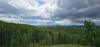 20250526_141828.thumb.jpg.6b4a80c3f06f7c82092650786bf94ed9.jpg