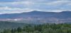 20250526_142356.thumb.jpg.621845641905440511bc78cae70cf84d.jpg
