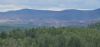 20250526_142426.thumb.jpg.83c535001a8abff81a11f726e928003b.jpg