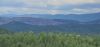 20250526_142432.thumb.jpg.3fe30de43f731d52d55fc0f41c416424.jpg