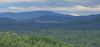 20250526_142436.thumb.jpg.8b41b39c207f56cafd996716db49b7c0.jpg