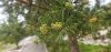 20250526_144142.thumb.jpg.249d24fdfc09297039fb87e373914209.jpg