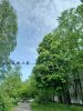 20250527_085320.thumb.jpg.efd2c2c7eca210418531c20d82538dbb.jpg