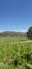 2034712341_.thumb.jpg.85cde769f232e8a6f976d4f8f201cac3.jpg