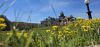 2145340806_.thumb.jpg.8ebec691822b3dcb988fbcb9ecb4ebfb.jpg