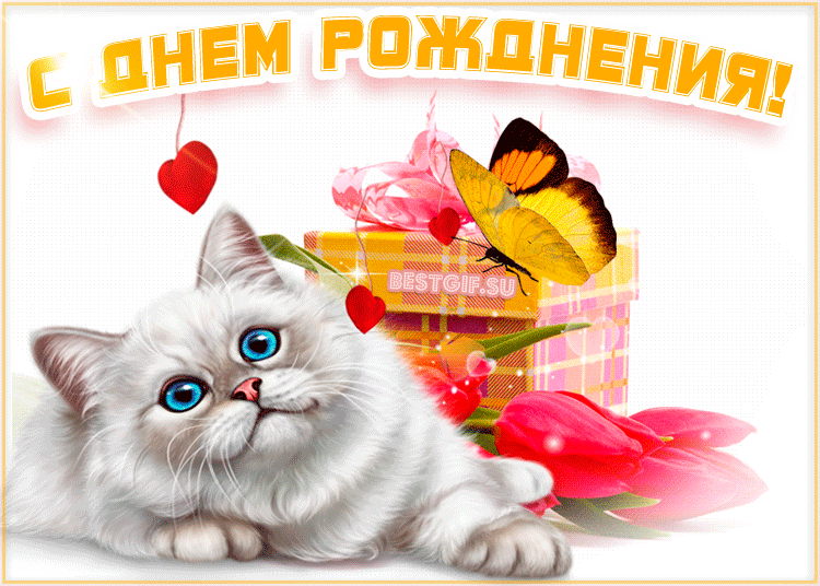 3dd86beca238f6fa13b7b18f3062718c.thumb.gif.8e337886b3b015e7b6feef82133c970e.gif