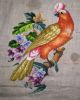 5.thumb.JPG.4161dadb9df66422cea5de63a51253d9.JPG