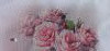 50309_140653.thumb.jpg.dd1b640d283681b0ec2df415290d2fe6.jpg?1750770785950