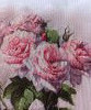 50309_140757.thumb.jpg.06d9b8351c5ade9c6c7bd110114603bb.jpg?1750770728873