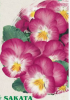 544473501_PinkPansies.thumb.png.3812dbedd35cb6848224b2e230da7c11.png