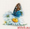 59683.thumb.jpg.1eaa8bb77fab7f3d2ff4ce6515001ae8.jpg