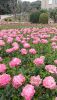 936ce80a-a216-44e9-8e54-36e04cb637ce.thumb.jpg.f07e43efcb9690c939d66102bc6db69c.jpg