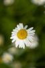 9X3A5461.thumb.jpg.1df39b98a10c07969513001ee4f73f4e.jpg
