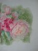 DSC07977.thumb.JPG.3da8d324e7b4f36e607c33a6cb20e915.JPG