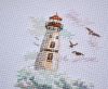 DSC_6442.thumb.JPG.b22c851da0ad8cae41b4b04b1a62b77b.JPG